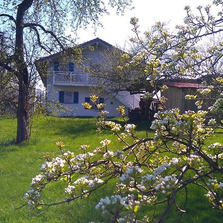 Obstgartenferien Seeon-Seebruck Exterior photo