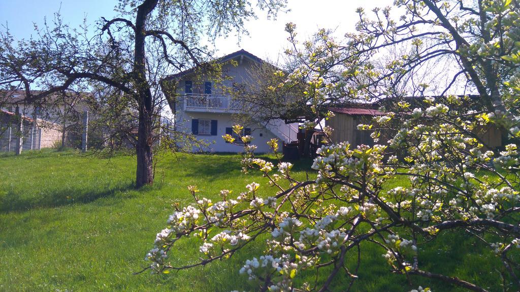 Obstgartenferien Seeon-Seebruck Exterior photo